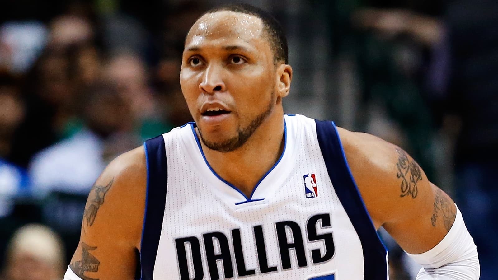 Shawn Marion Net Worth