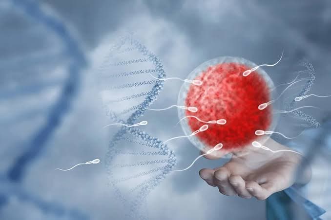 How to Improve Low Sperm Count Naturally