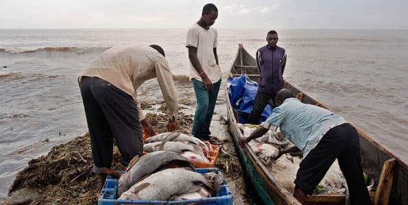Blue economy forum to help source markets for Kenyan fish farmers