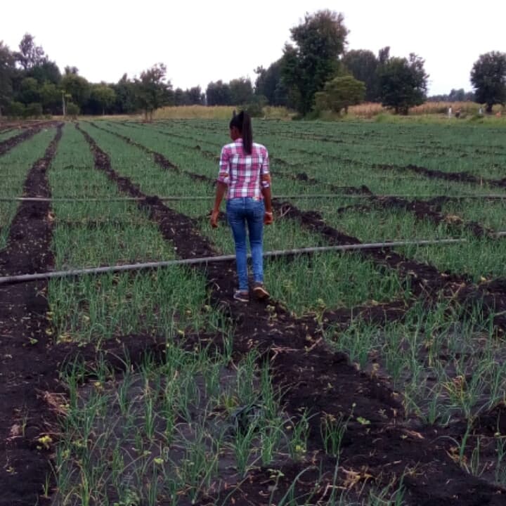 Former researcher finds her fortunes by returning to farming roots