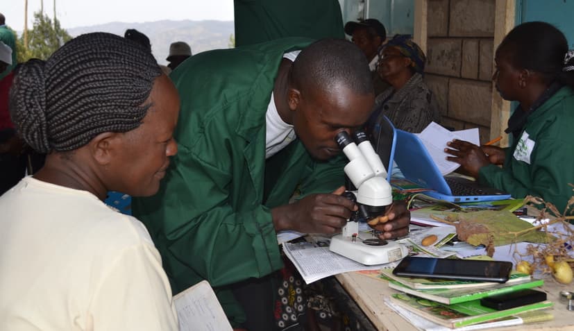 CABI launches new technology for fight against crop-devastating pest outbreaks in Kenya
