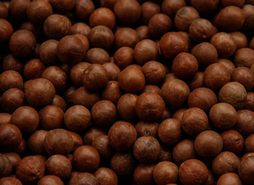 Macadamia Association Rejects Claims of Low-Income for Farmers