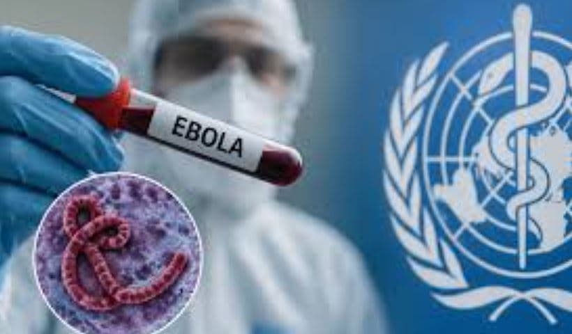 All 22 Ebola Alerts in Kenya Test Negative as U.S. Defends Laikipia Ebola Facility