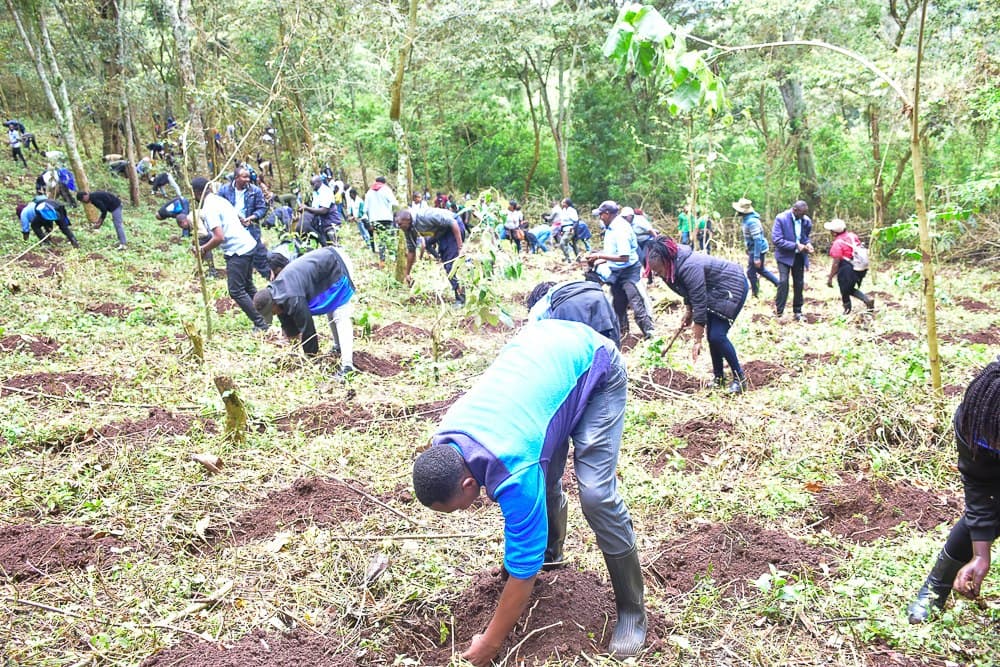 County leads in planting 20,000 indigenous trees to mark World Water Day