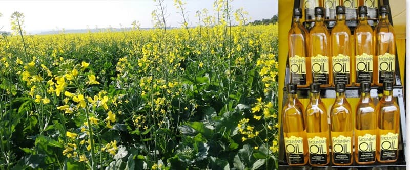 Canola farming ambassador builds his first oil extraction cottage industry in Nyeri