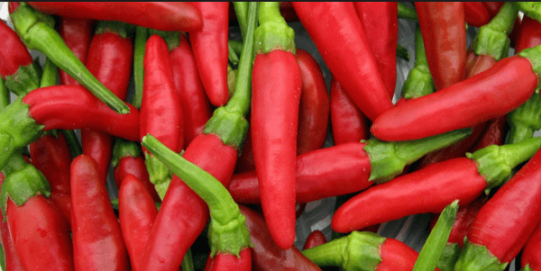 Time your chilli for maximum profits during high demand