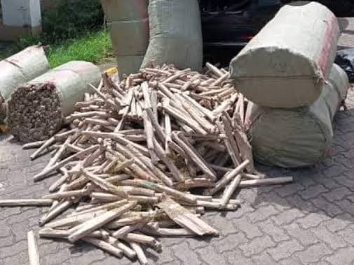 Kilifi court fines two Sh30 million, or 10-year jail sentence each, for trafficking 56kg cannabis.