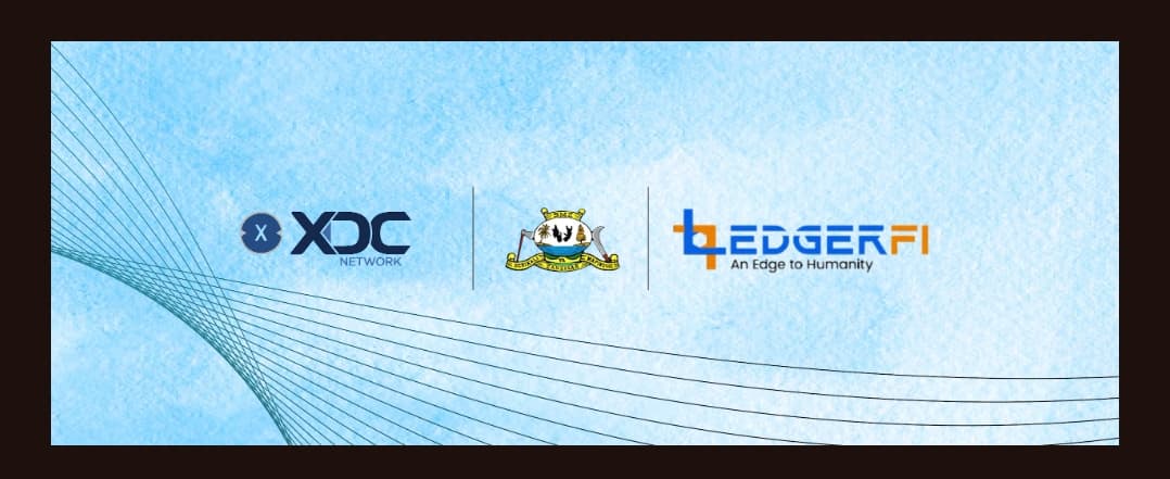 Zanzibar’s national blockchain sandbox: Pioneering digital governance and innovation in Africa