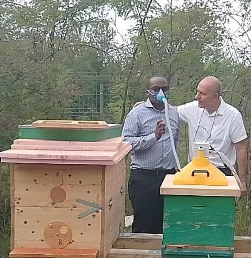 Murang’a farmer launches bee venom therapy after training himself in apitherapy