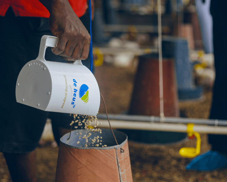 Dutch firm Sets Up Sh3 Billion Animal Feeds Factory in Kenya