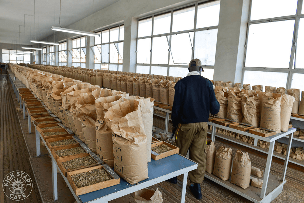 Nairobi Coffee Exchange Moves 10,770bags Worth KSh 666m