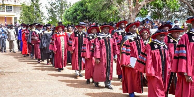 DAAD Opens Fully Funded Germany Scholarships with Monthly Stipends of Up to KSh207K