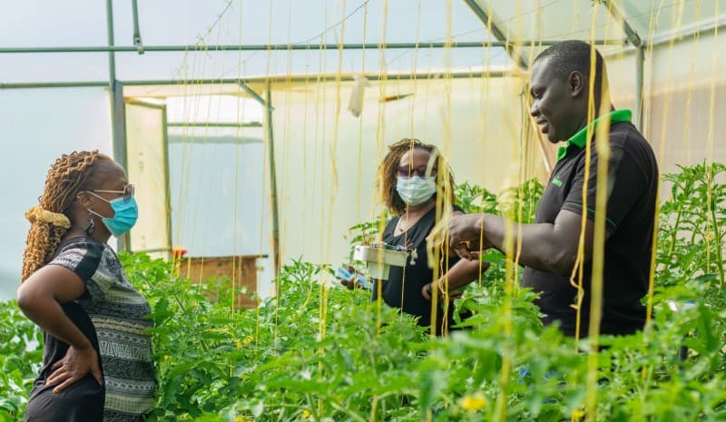 Synnefa among companies selected for USD 1.7M Efficiency for Access Research & Development Fund