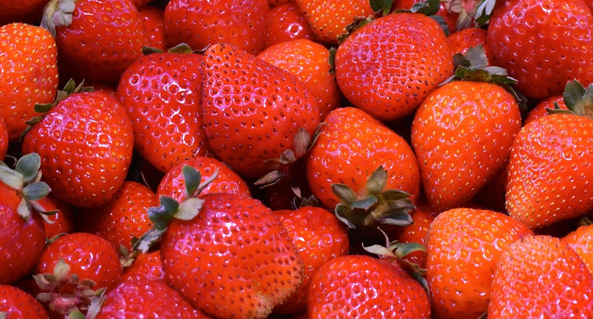 Exporter equips Kenyan farmers to supply it strawberries for Middle East
