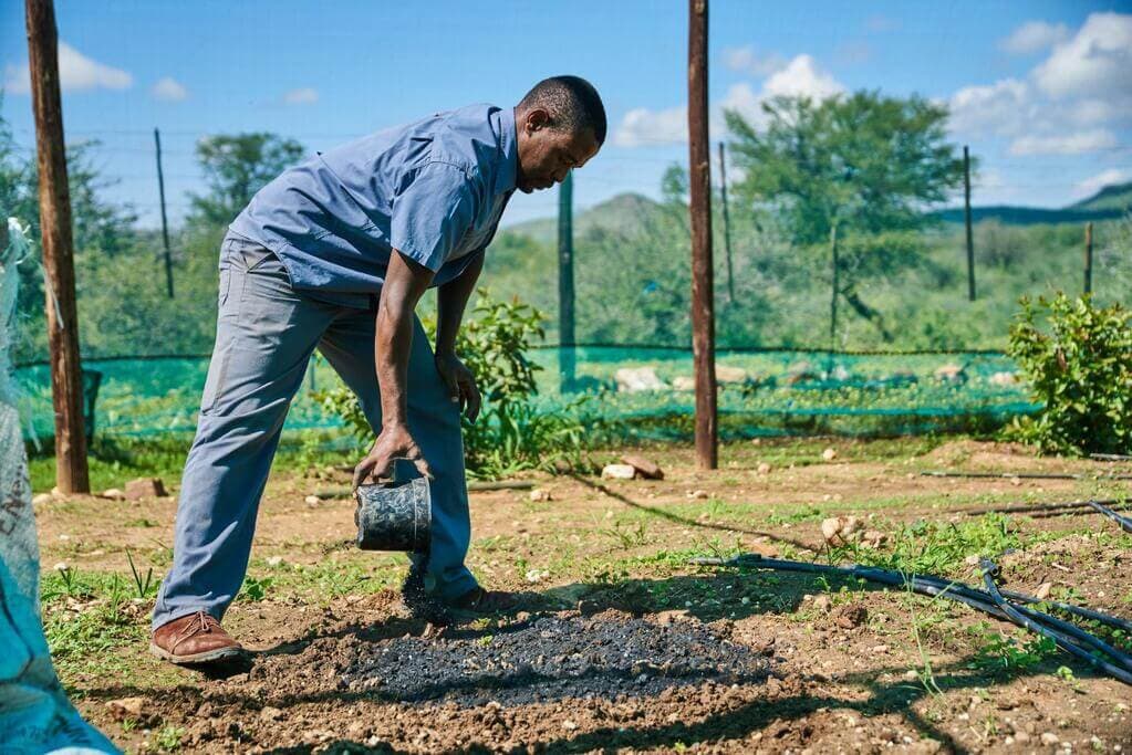 Kwale farmer targets production of 30 biochar bags by December to double his farm’s yields