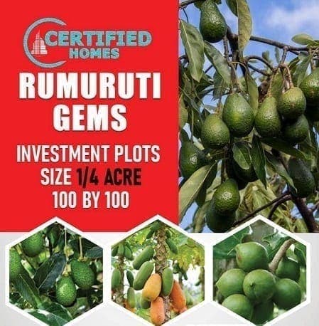 Rumuruti Gems Investment plots with Avocados, Pawpaws or Macadamia