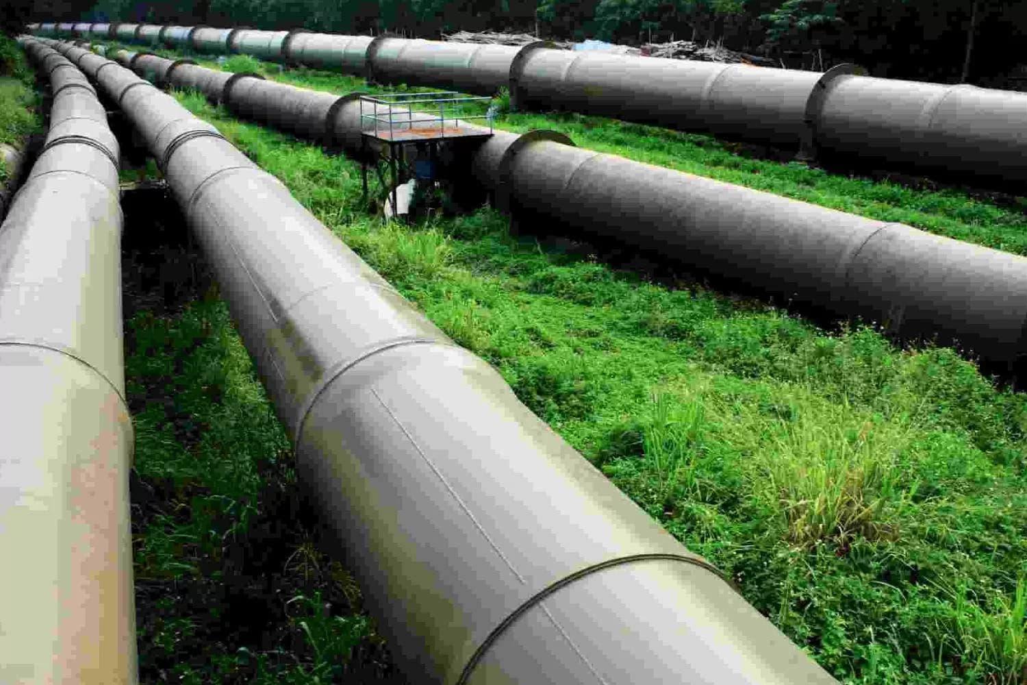 $20B Nigeria-Libya Gas Pipeline Advances: Europe’s Next Major Energy Supply Corridor