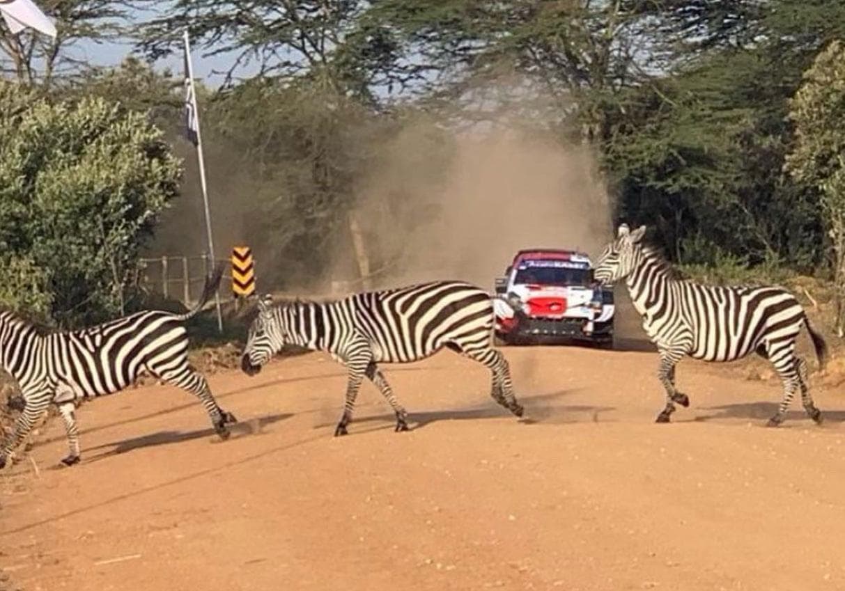 12 amazing facts about the magnificent Safari Rally
