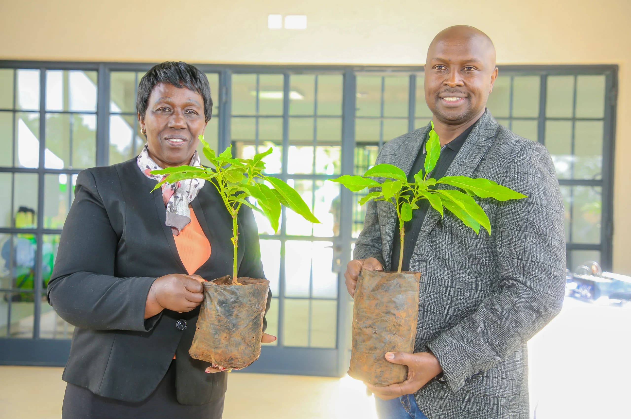 Safaricom’s Ksh15M Project to Grow 250,000 Trees Across the Country