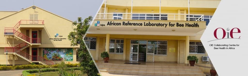 ICIPE recognized as a global hub for bee health expertise