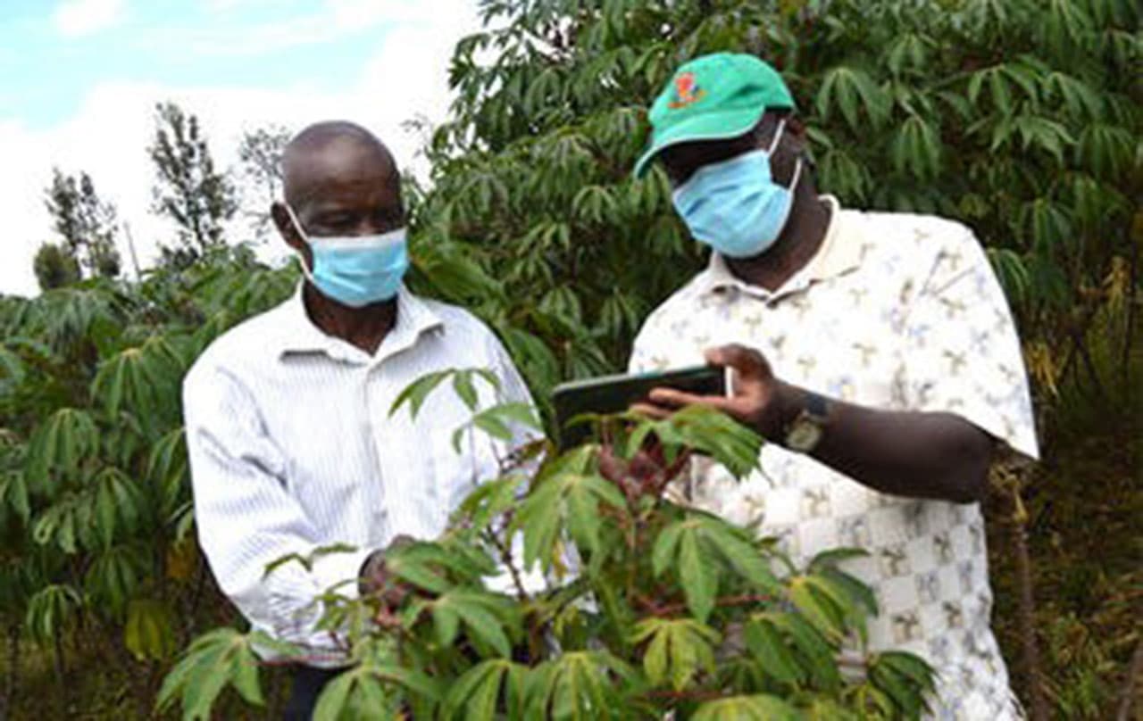 4000 farmers benefit from climate-smart agribusiness programme