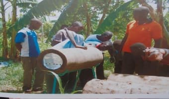 Palm tree beehives earn farmer Sh3million yearly