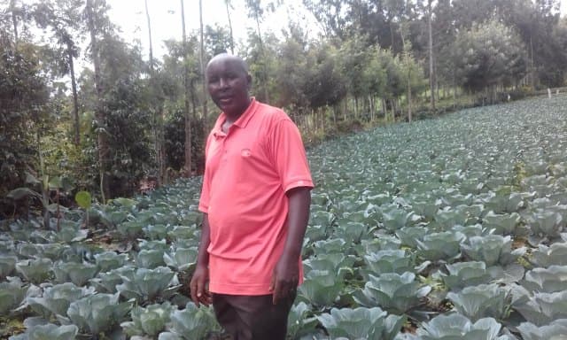Kenyan smallholders to benefit from loans with longer maturity period to boost production