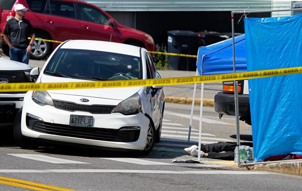 ICE told to halt most vehicle stops after pair of fatal shootings