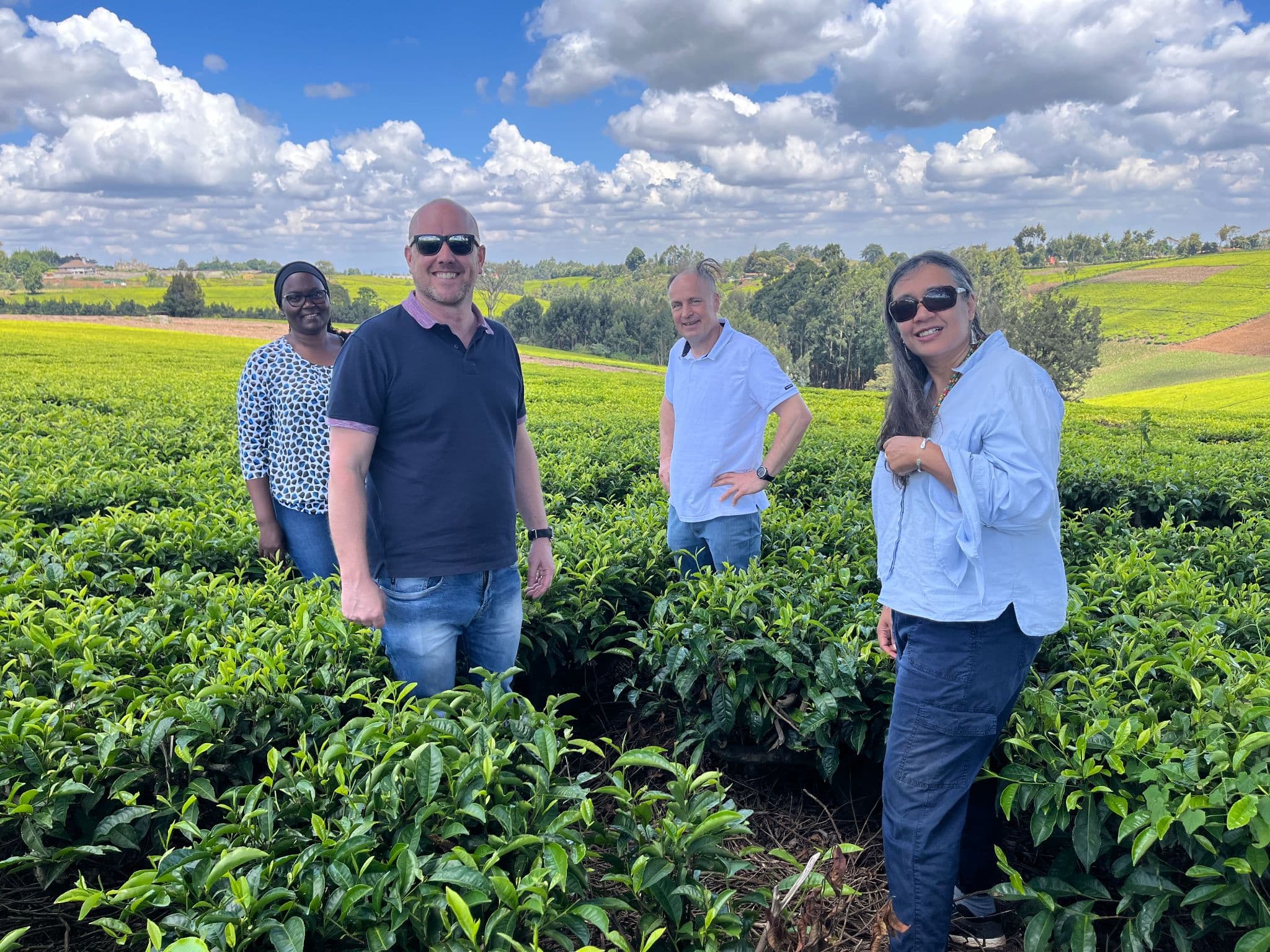 Compact Syngas trials powering Kenyan tea factories through waste from tea production