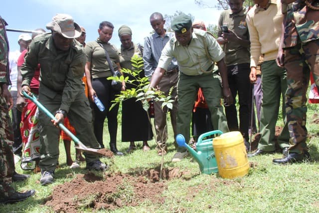Government launches reforestation initiative in Mukogodo forest