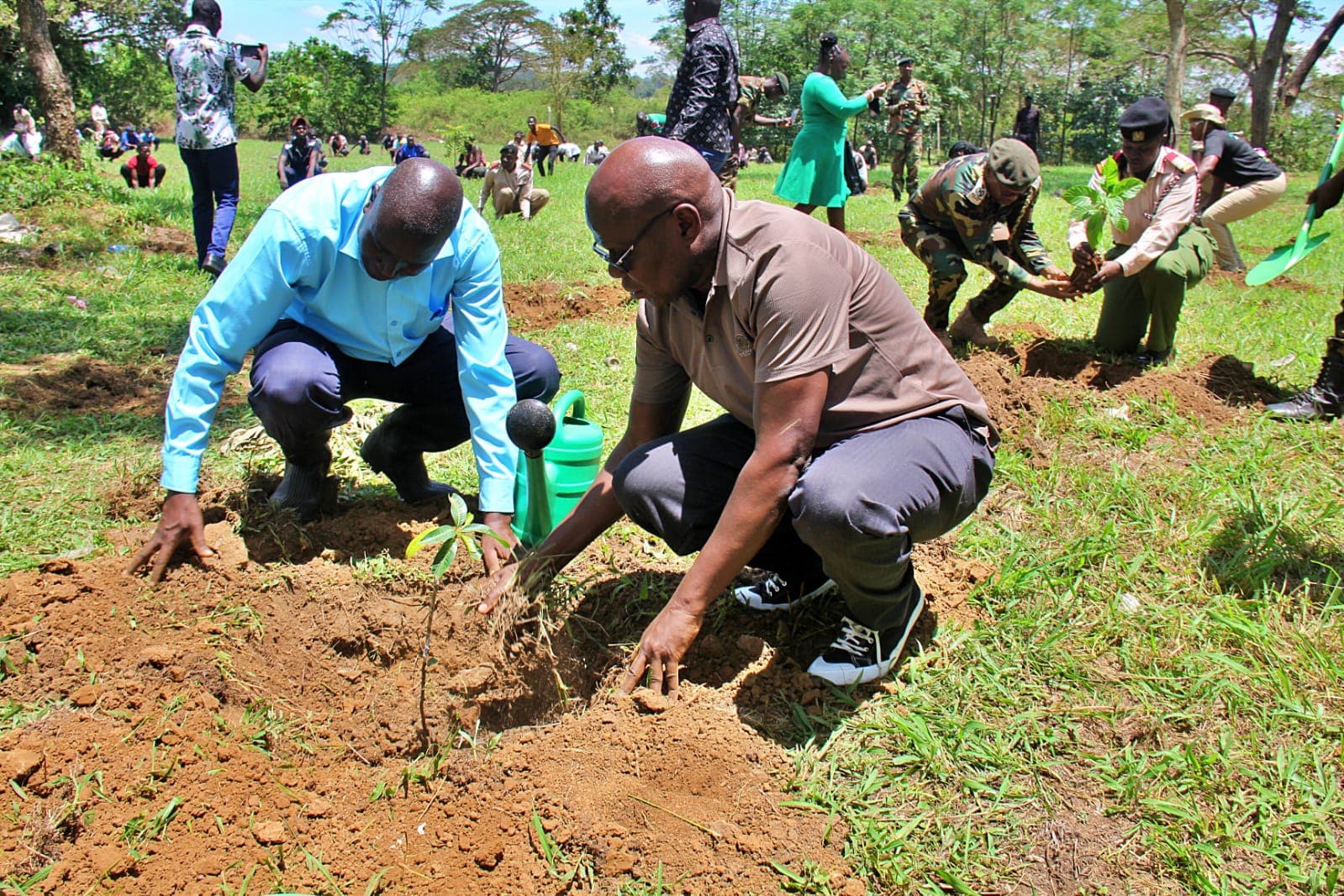 Mining department plants 10,000 trees at Alupe University