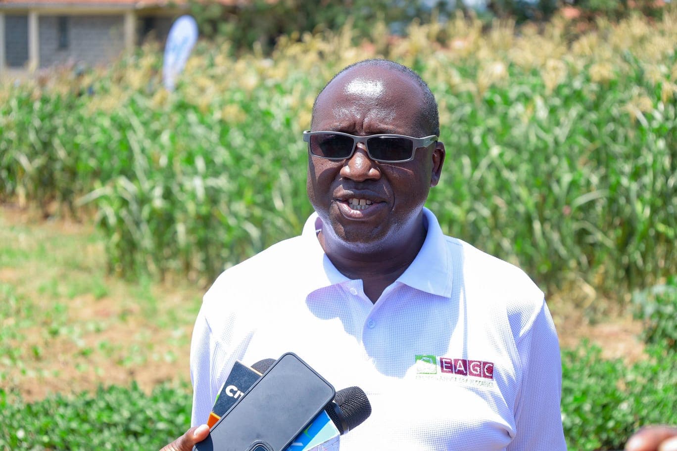 Western Kenya harvest drops as drought hits farmers