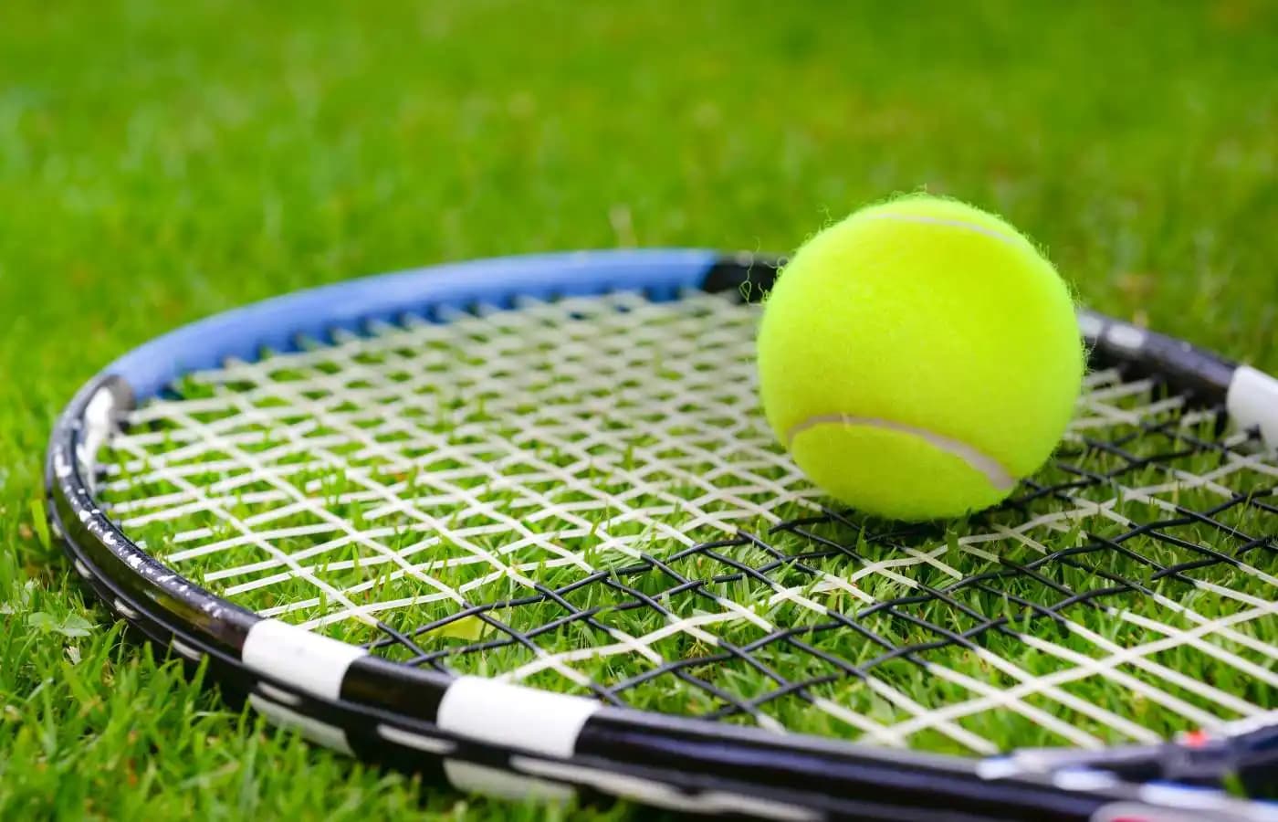 Table Tennis Betting Strategies