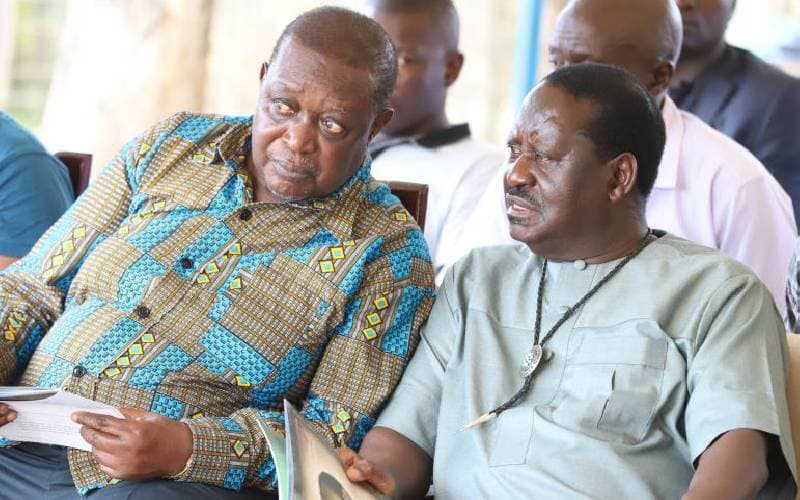 Data breach shows list of companies associated with Odinga family