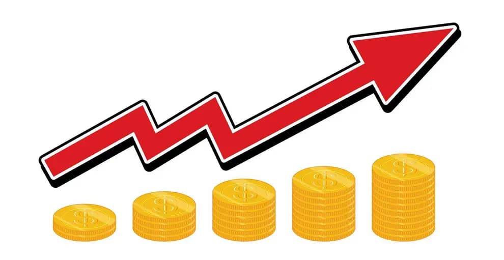 How to use bookmaker offers to play with more money at Bizbet
