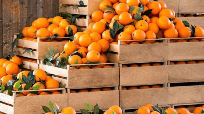 Pixie farming in Kenya: How much can you really make?