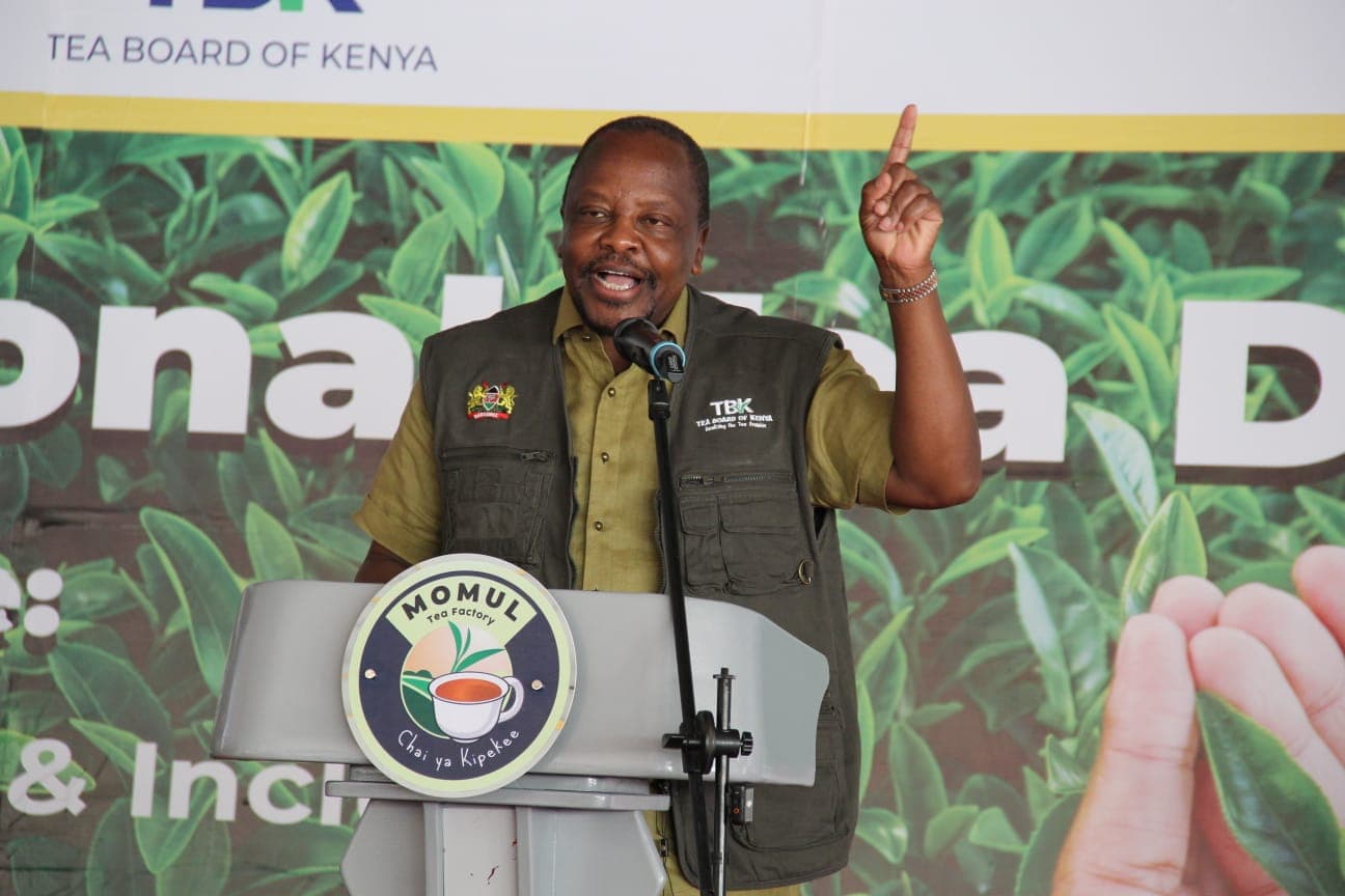 Gov’t pushes value addition, new markets as Kenya marks International Tea Day