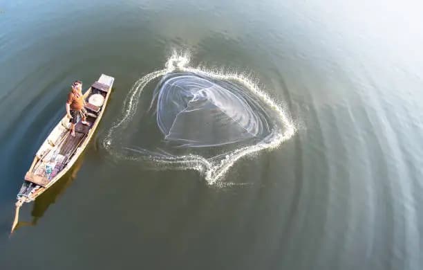 How to Throw a Cast Net