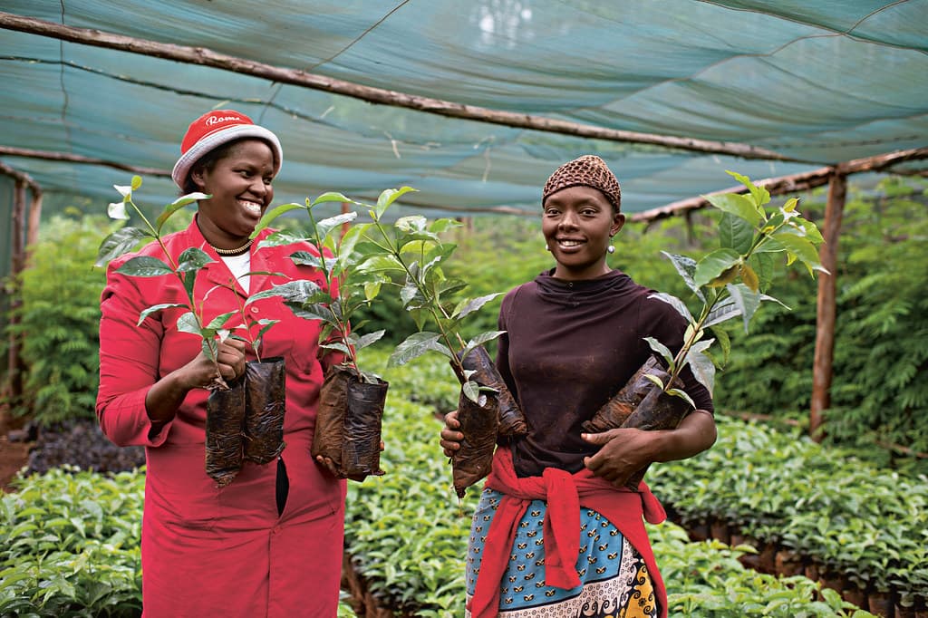 Rainforest Alliance & Gusii farmers meld coffee production with regenerative agri