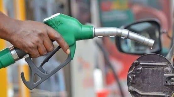 OPEC revises down oil demand growth in 2026