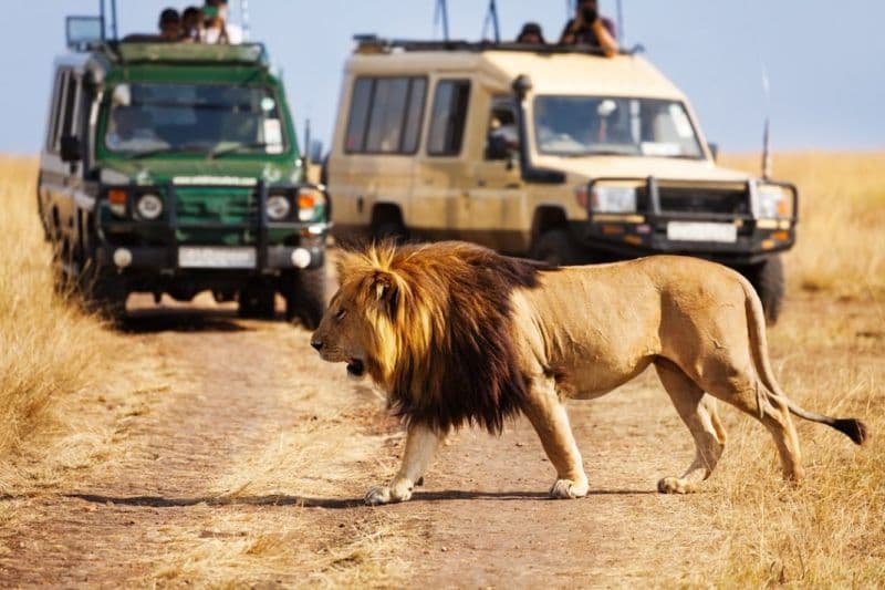 Top 5 Best Travel Companies in Kenya – 2024