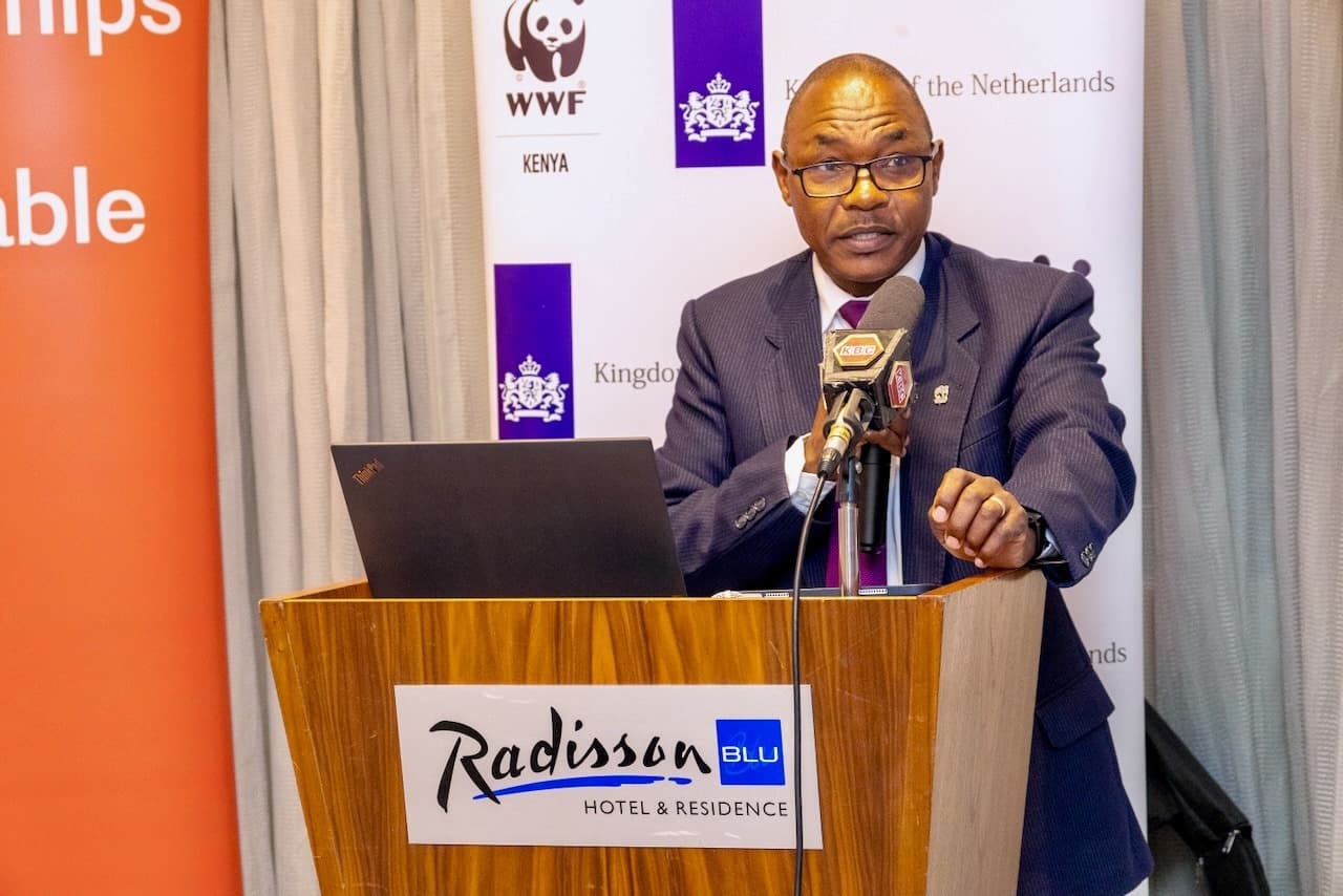 Water governance, not new dams, holds key to Kenya’s water future