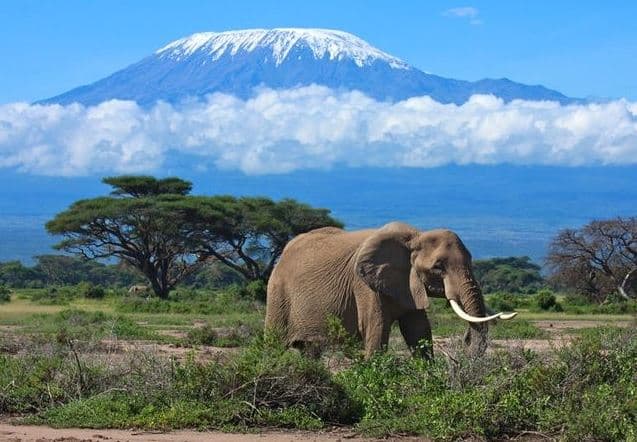 Omtatah Tells Ruto: Only a Referendum Can Hand Amboseli to Kajiado