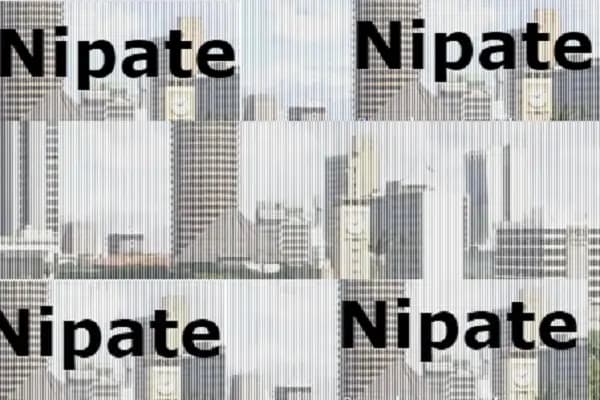 Nipate: Unraveling the Brilliance of Kenya’s Leading Online Forum