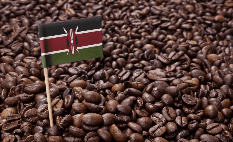 What Is This European Union Coffee Regulation Seeking to Ban Kenya’s Coffee From EU Market?
