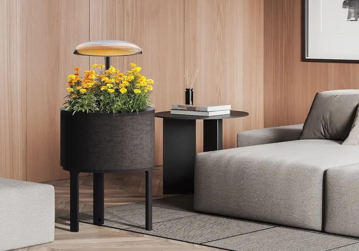 LG Set to Showcase New Indoor Gardening Appliance AT CES 2025