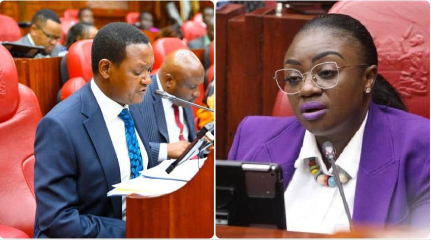 Senator Orwoba, CS Mutua Clash Over Alleged Scam in Kenya’s Overseas Job Programme