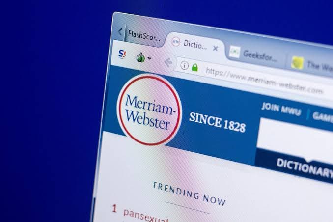 US dictionary adds 1,400 words, including neckbeard, trash panda and cuffing season