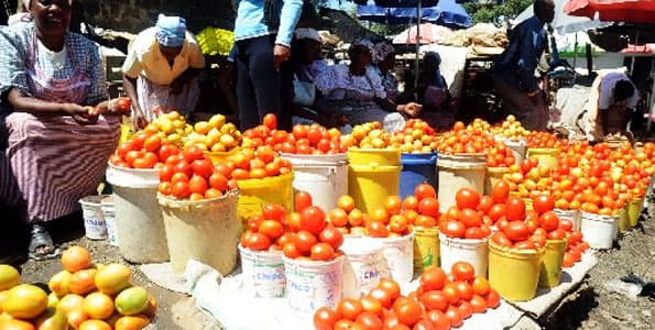 Traders sell more from tomato influx