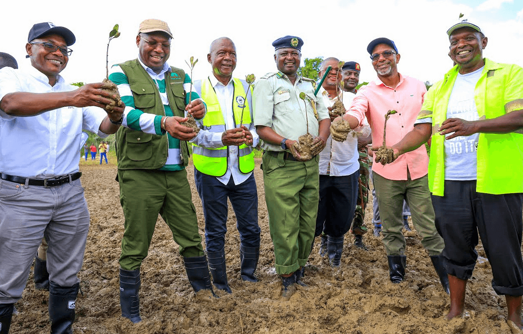 State banks on Environmental Deposit Bonds to guarantee mining site restoration